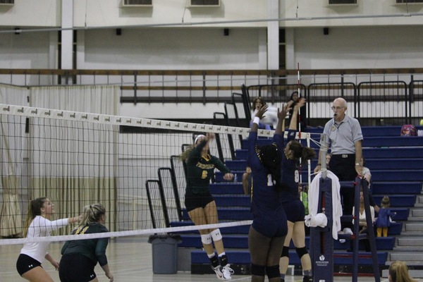 Volleyball: Knights Drop Five-Setter to Cougars at Home